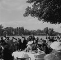 French Polo Crowd