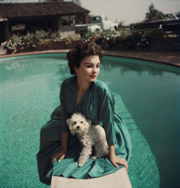 Jean Simmons