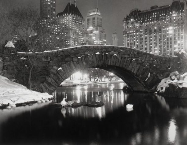 New York Pond