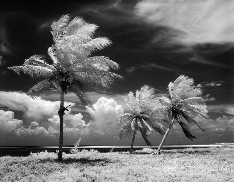 Florida Keys