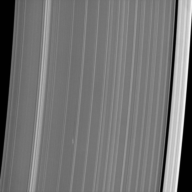 Saturn's Rings and Moonlet
