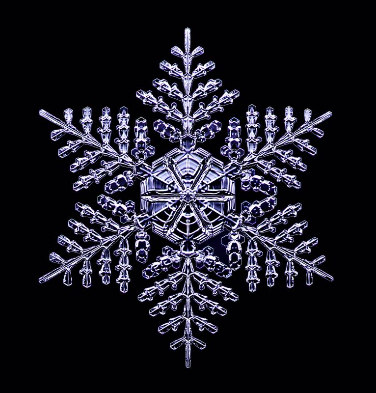 Stellar Snowflake