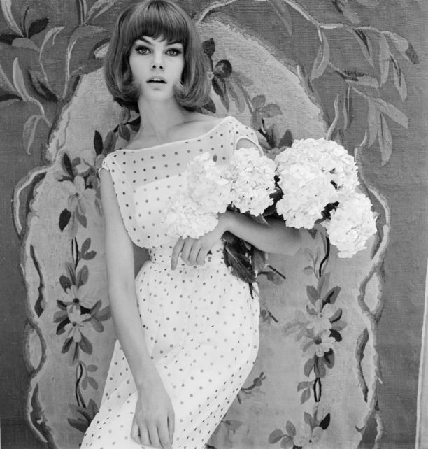 Shrimpton Modelling