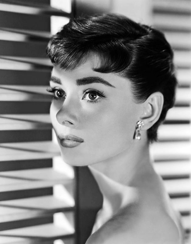 Audrey Hepburn-Porträt