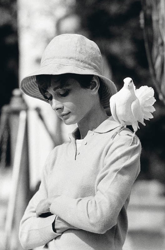 Hepburn mit Taube
