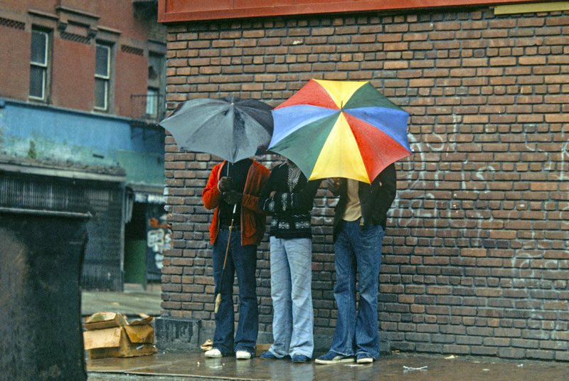 Parapluies Harlem