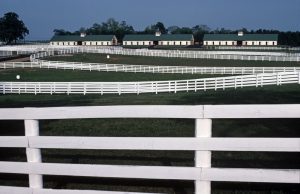 Kentucky Farm