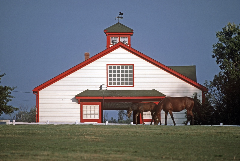 Thoroughbred Stables