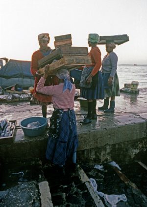 Lisbon Fish Market