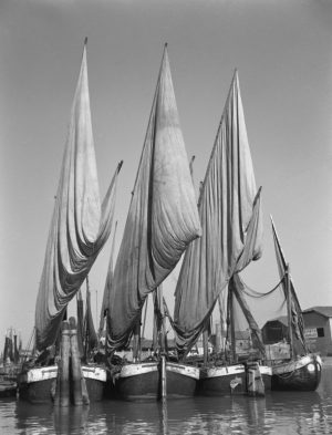 Boats in the Harbour