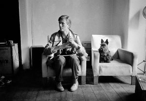 David Bowie Scottie Hund