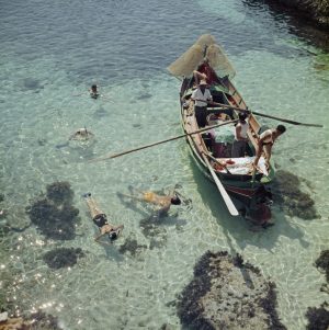 Snorkelling In The Shallows