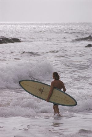 Surfistas de Laguna Beach