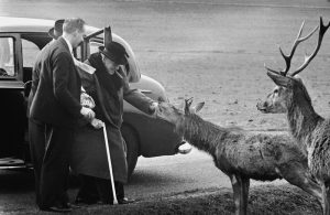 Churchill In Richmond Park