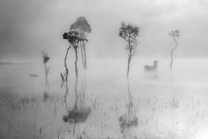 Misty Lake