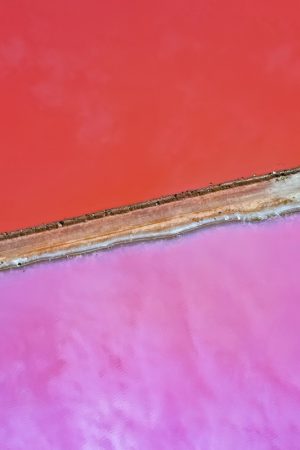 Pink Hutt Lagoon Abstract