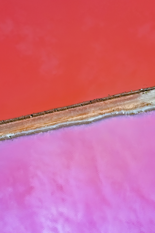 Pink Hutt Lagoon Abstract