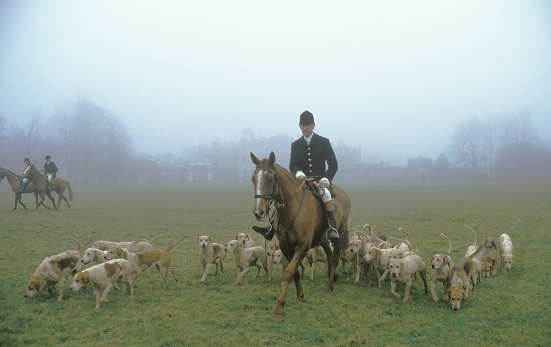 Riders And Hounds