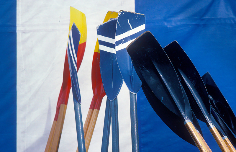 Regatta Oars