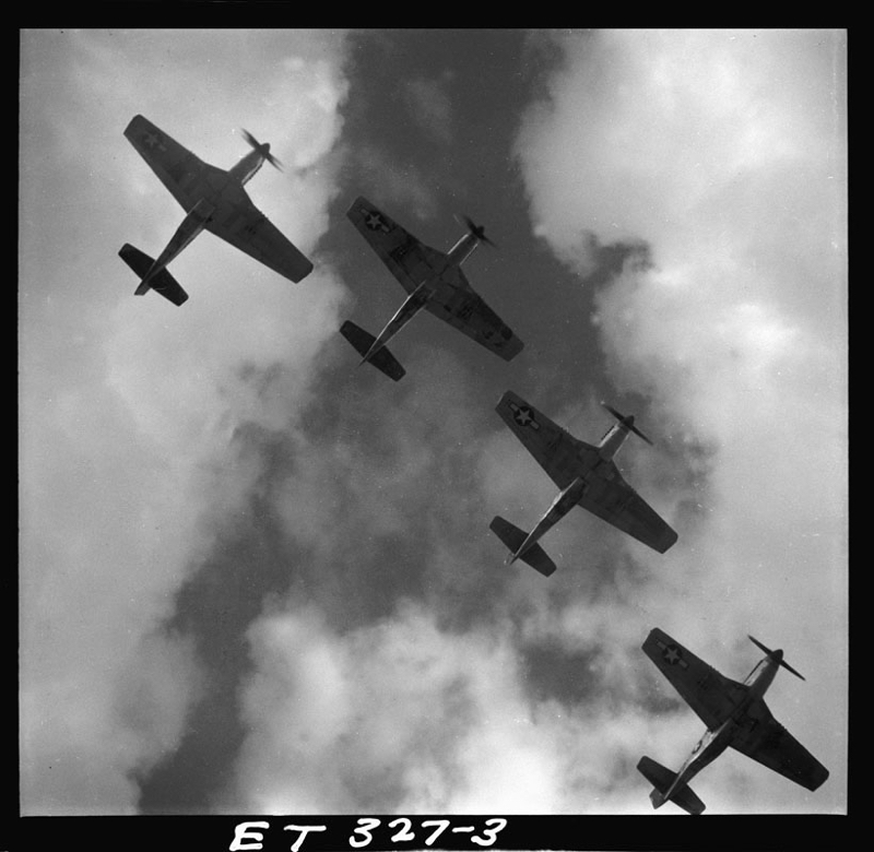 Mustangs In Flight