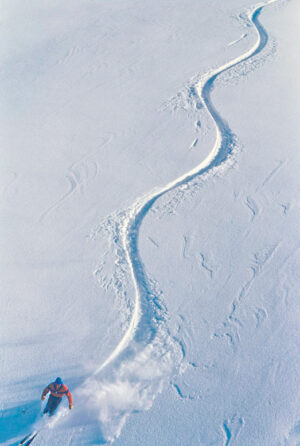 Tracks In The Snow