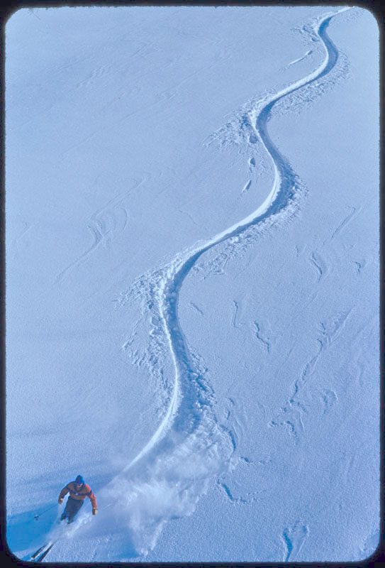 Tracks In The Snow