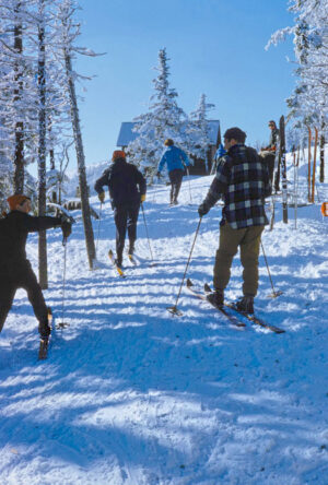 Skiers In The Woods