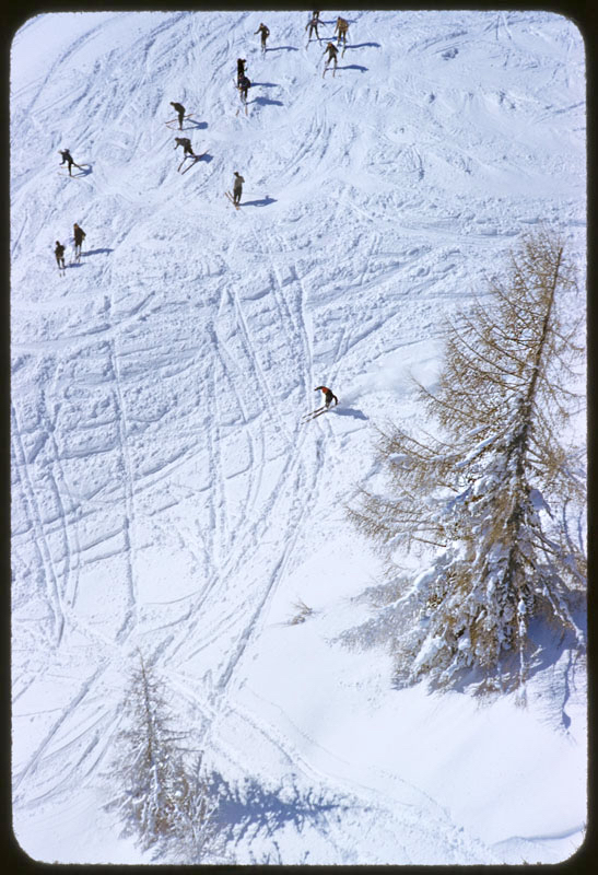 A Group Of Skiers On The Piste