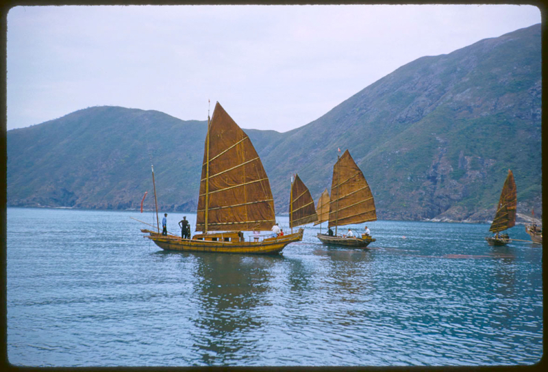 Junks In Hong Kong Harbour
