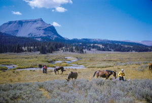 A Pack Trip In Wyoming