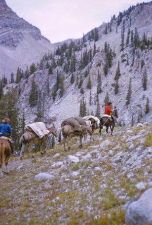 A Pack Trip In Wyoming
