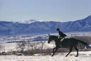 A Horse Ride In The Snow