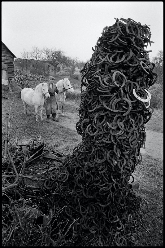 Horseshoes