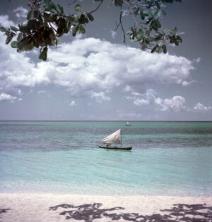 Jamaica Sailing