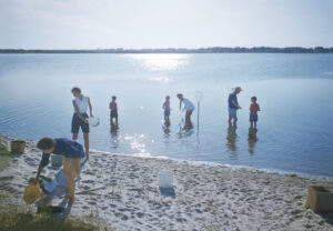 Crabbing In The Hamptons
