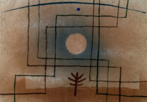 Plant According To Rules