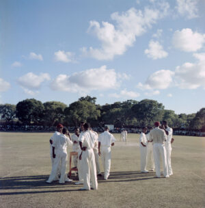Cricket In Antigua